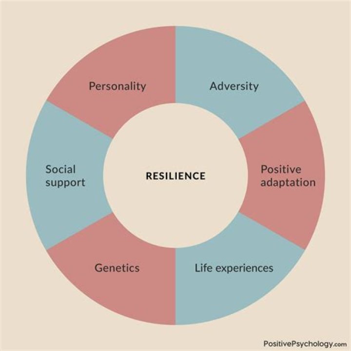 A Journey Of Identity, Resilience, And Activism