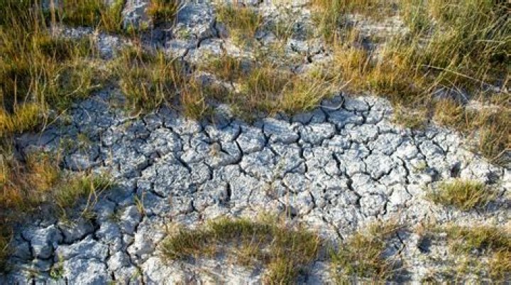 Discoveries And Insights Into Climate Change's Human Impacts