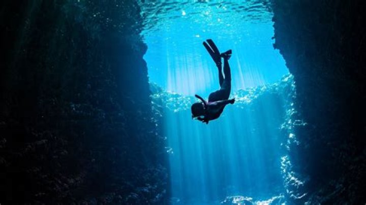 Dive Into The World Of Alicia Anka: Unlocking Talent And Success