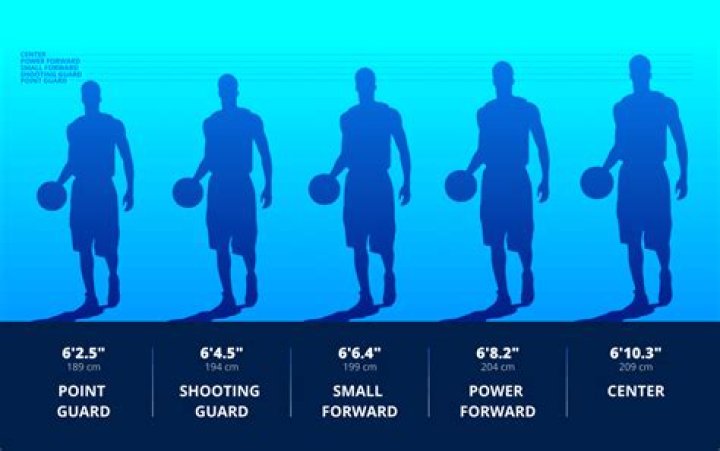 Uncover The Heights Of Basketball Greatness: Meredith Marakovits