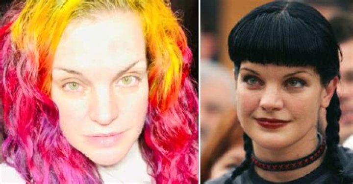 What Caused Pauley Perrette Stroke